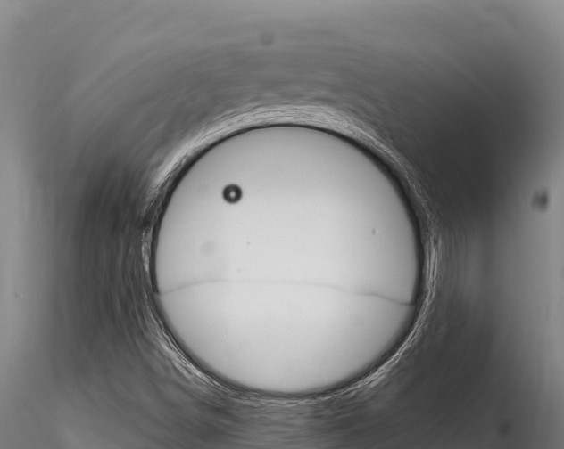 X0000116281498200911301028