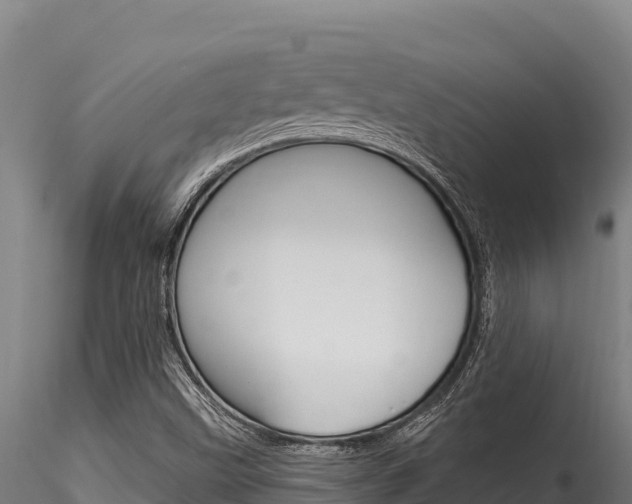 X0000116281499200911301028