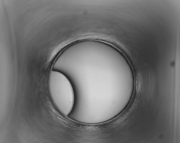 X0000116281501200911301028