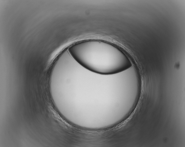 X0000116281502200911301028