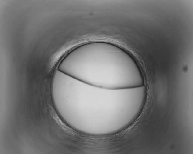 X0000116281503200911301028