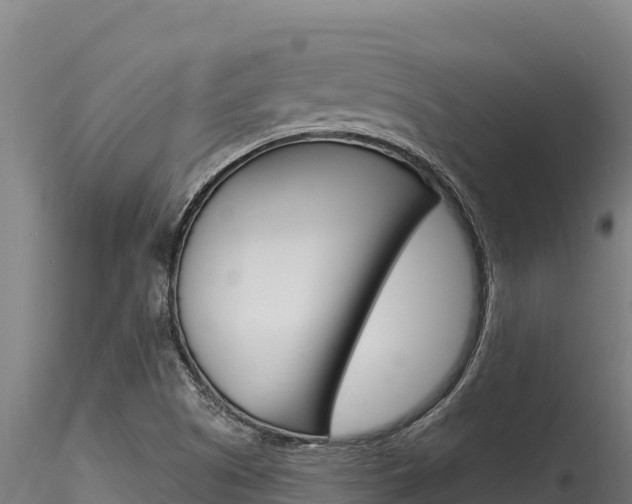 X0000116281505200911301028