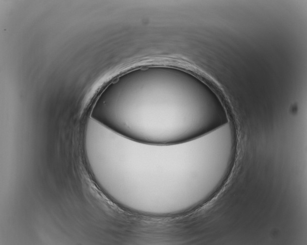 X0000116281506200911301028