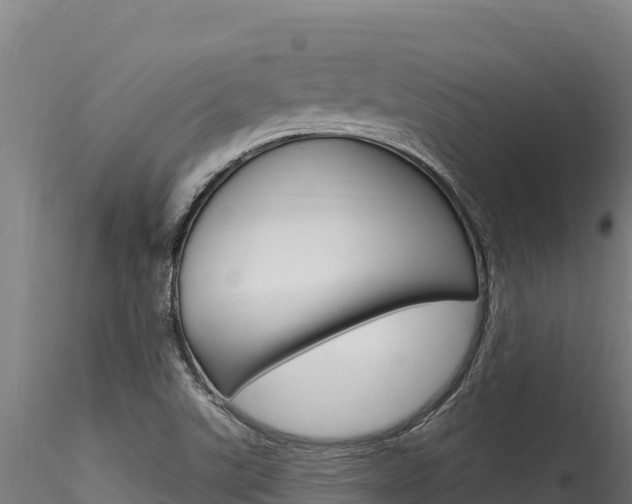 X0000116281507200911301028