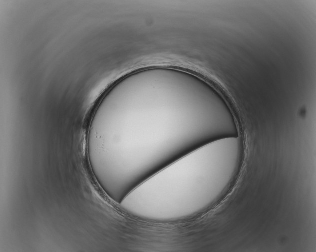 X0000116281509200911301028