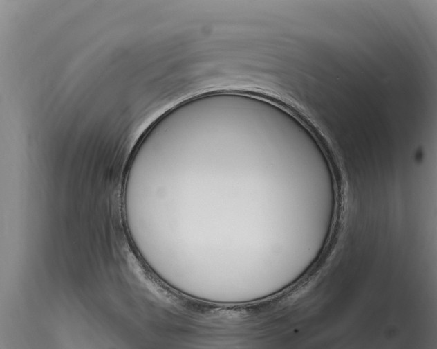 X0000116281513200911301028