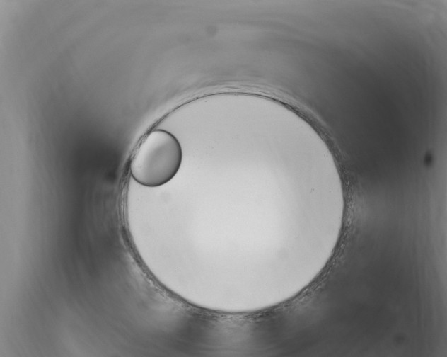 X0000116281514200911301028