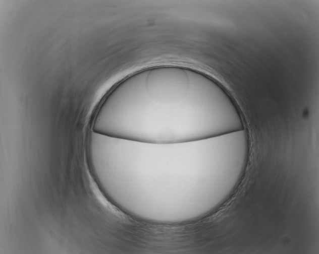 X0000116281515200911301028