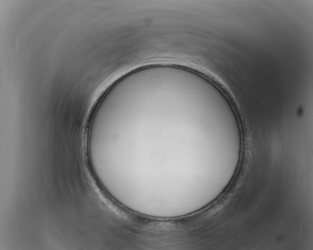 X0000116281517200911301028