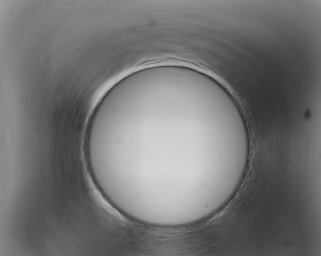 X0000116281518200911301028