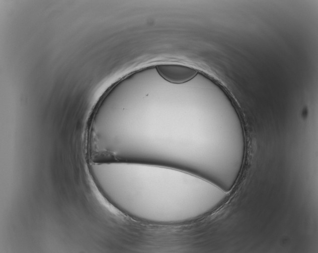 X0000116281519200911301028