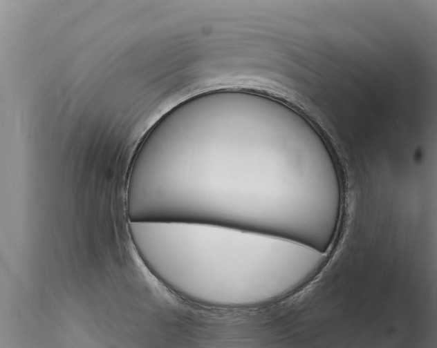 X0000116281521200911301028