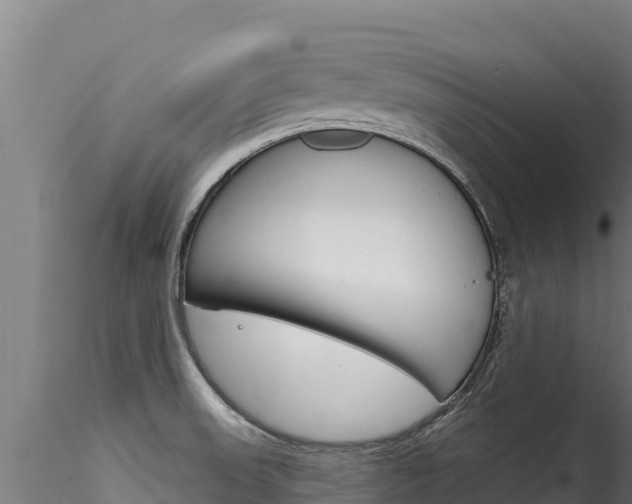 X0000116281523200911301028