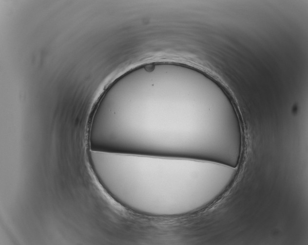 X0000116281525200911301028
