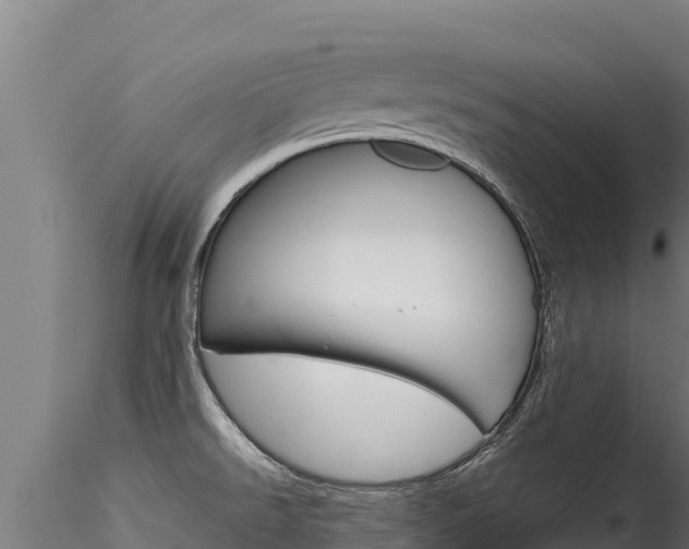 X0000116281526200911301028