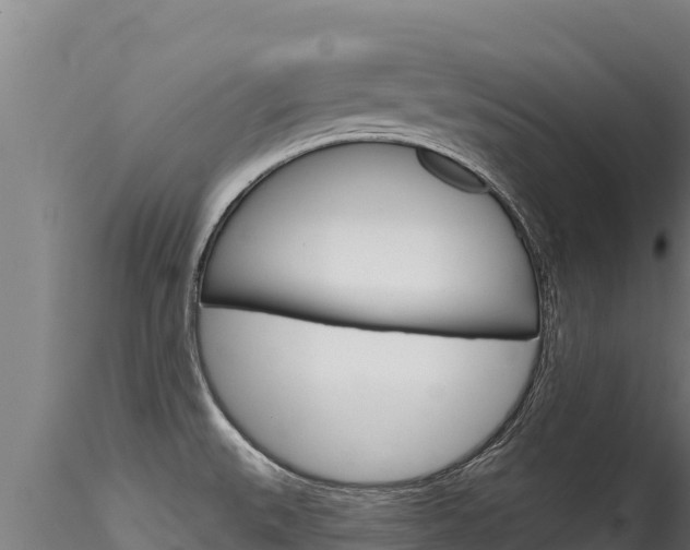 X0000116281527200911301028