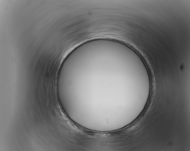 X0000116281529200911301028