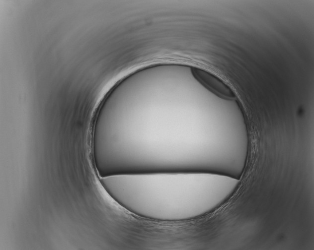 X0000116281531200911301028