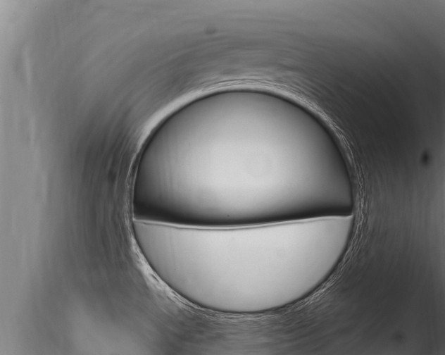 X0000116281534200911301028
