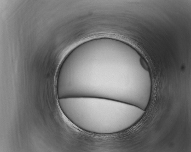 X0000116281535200911301028