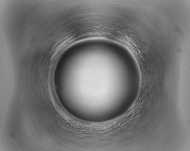 X0000116280001200911301408