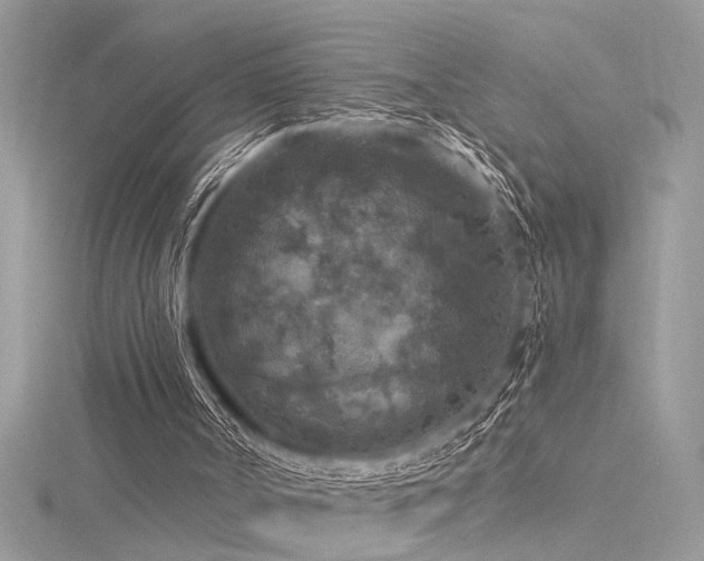 X0000116280002200911301408