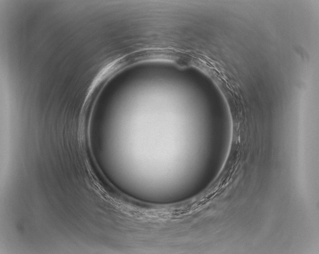 X0000116280004200911301408