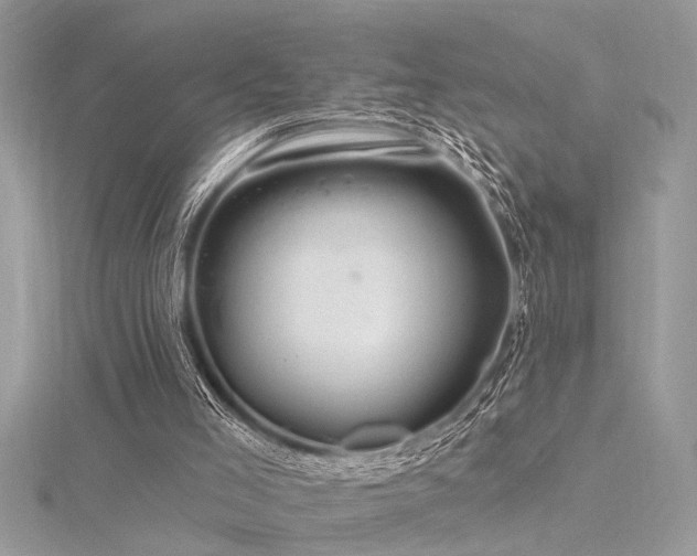 X0000116280005200911301408