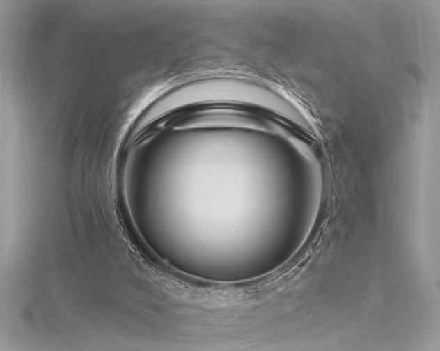 X0000116280008200911301408