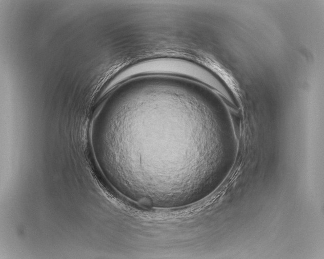 X0000116280009200911301408