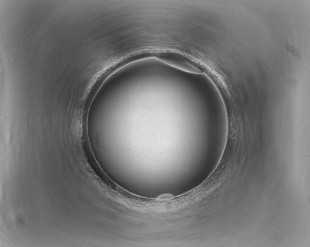 X0000116280015200911301408