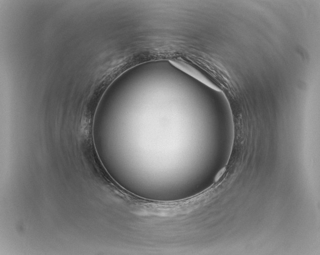X0000116280033200911301407