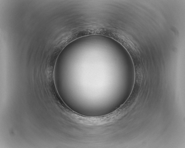 X0000116280034200911301407