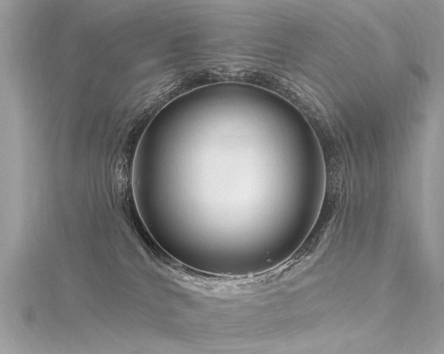 X0000116280040200911301407