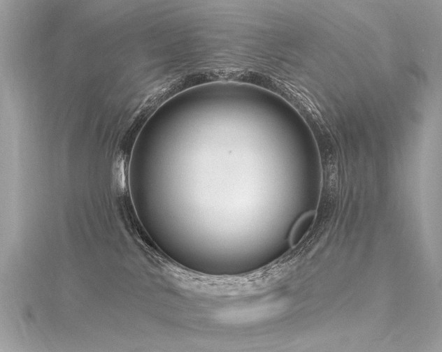 X0000116280042200911301407