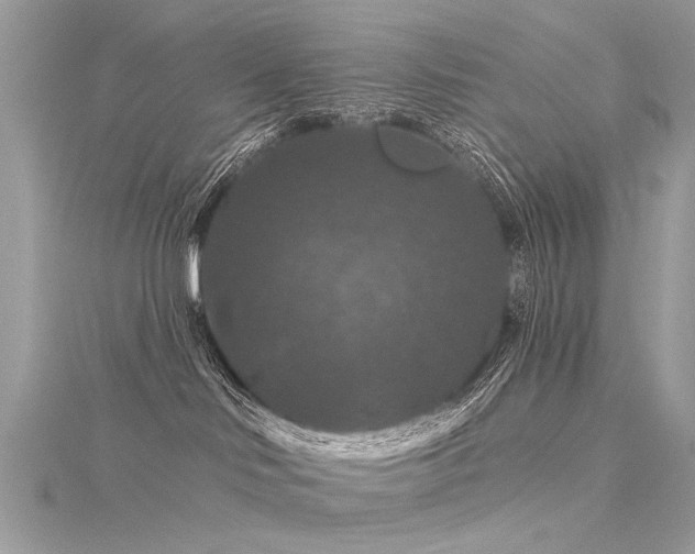 X0000116280046200911301407