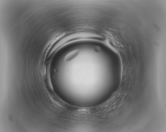 X0000116280050200911301406