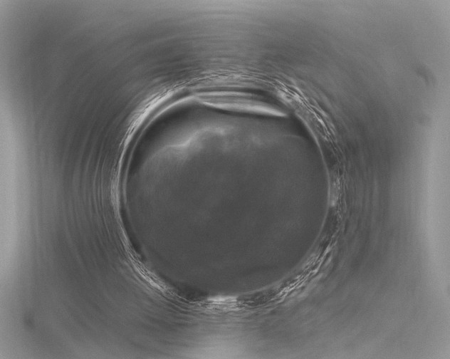 X0000116280052200911301407