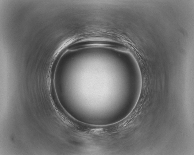 X0000116280054200911301407