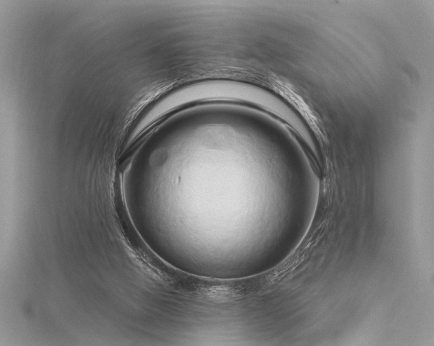 X0000116280058200911301407