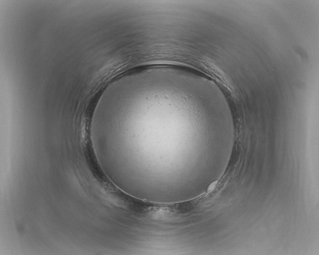 X0000116280074200911301407