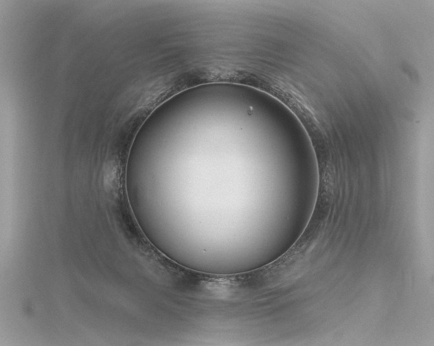 X0000116280079200911301407