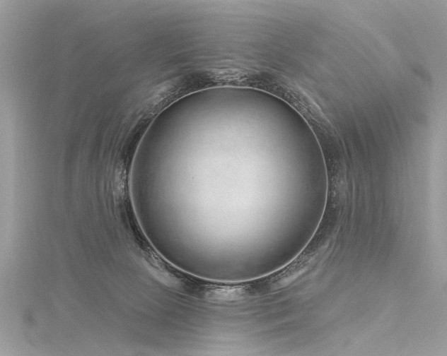 X0000116280081200911301407