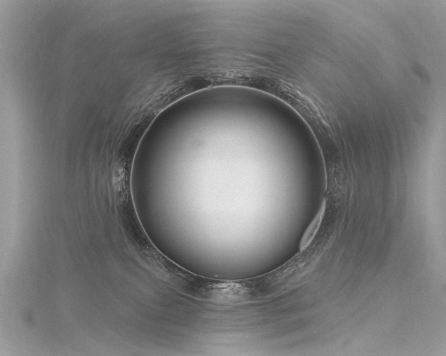 X0000116280087200911301407