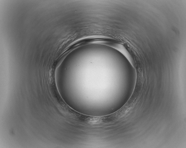 X0000116280088200911301407