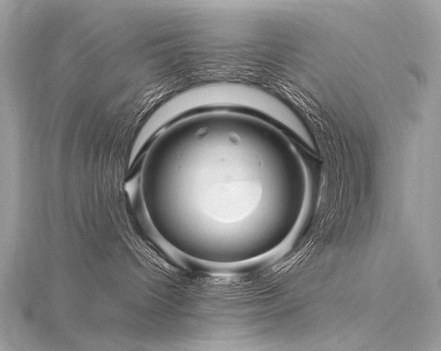X0000116280096200911301407