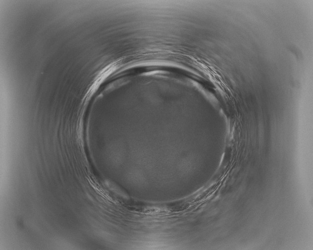 X0000116280099200911301406