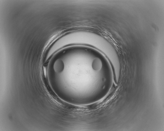 X0000116280101200911301406
