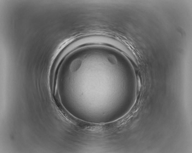 X0000116280104200911301406