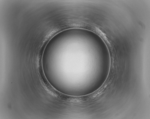 X0000116280106200911301406